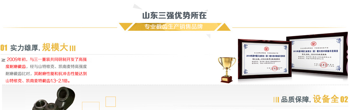 公司三大优势